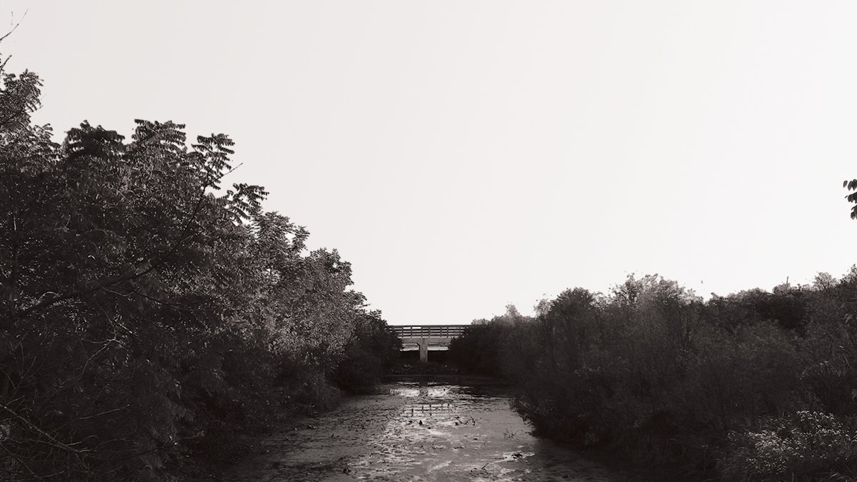 Bridge over water in a forest preserve